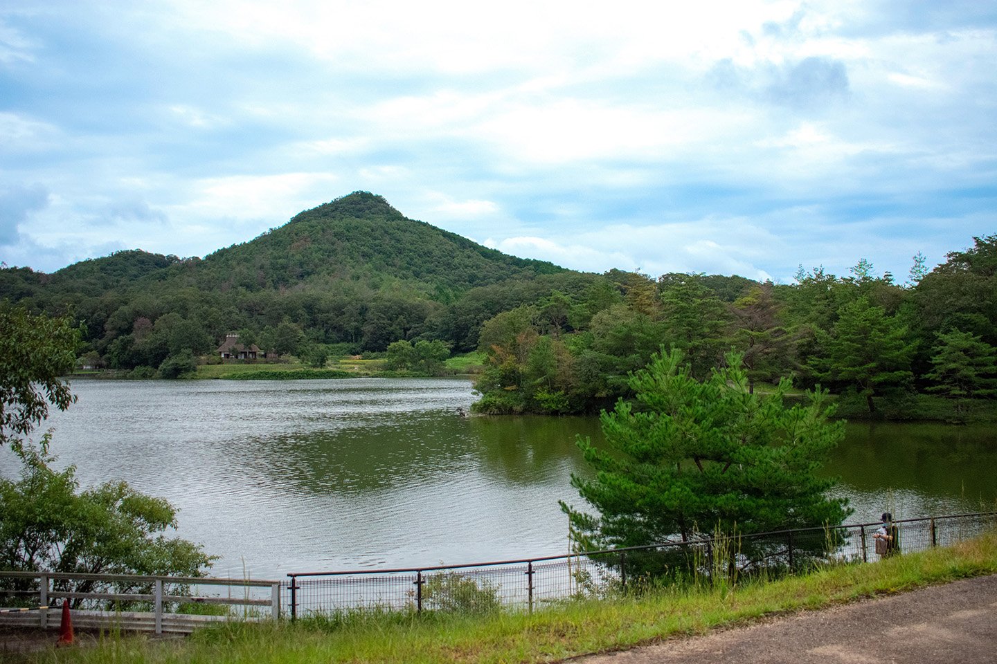 🏞️ 효고 현립 아리마후지 공원 (효고켄리츠 아리마후지 코엔) 이미지 6